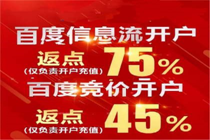 案例分析：SEM服务优化效果显著